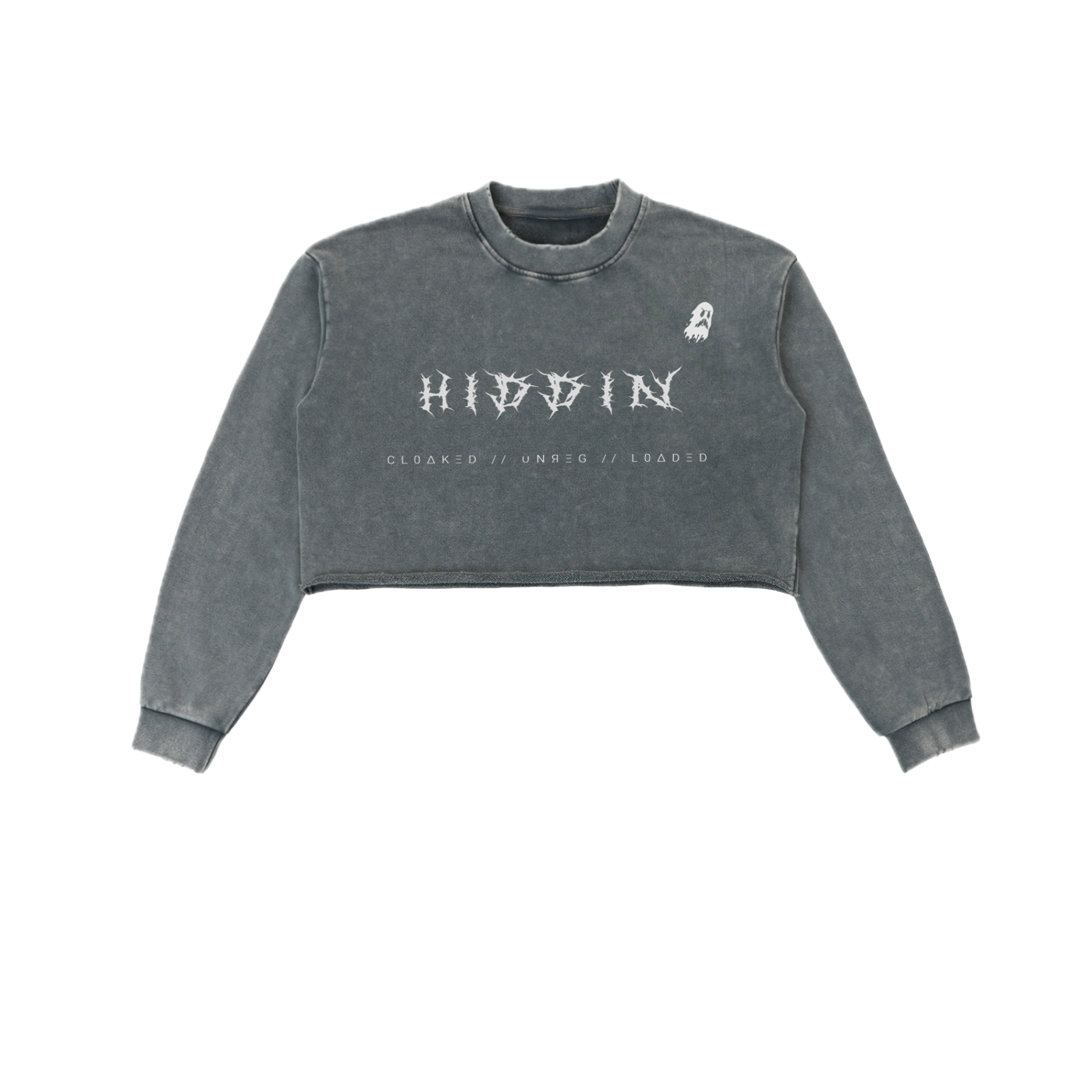 ⟦HIDDIN // CR0P.UNR3G.CØV3R⟧
