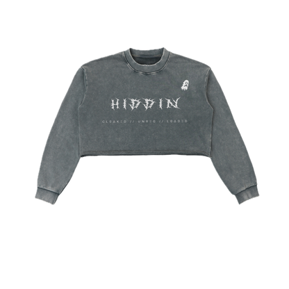 ⟦HIDDIN // CR0P.UNR3G.CØV3R⟧
