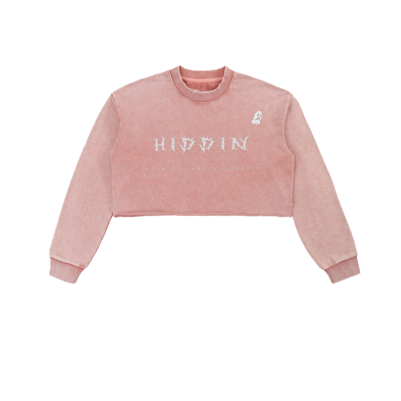 ⟦HIDDIN // CR0P.UNR3G.CØV3R⟧