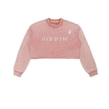 ⟦HIDDIN // CR0P.UNR3G.CØV3R⟧