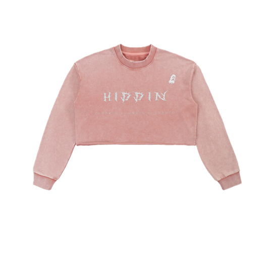 ⟦HIDDIN // CR0P.UNR3G.CØV3R⟧