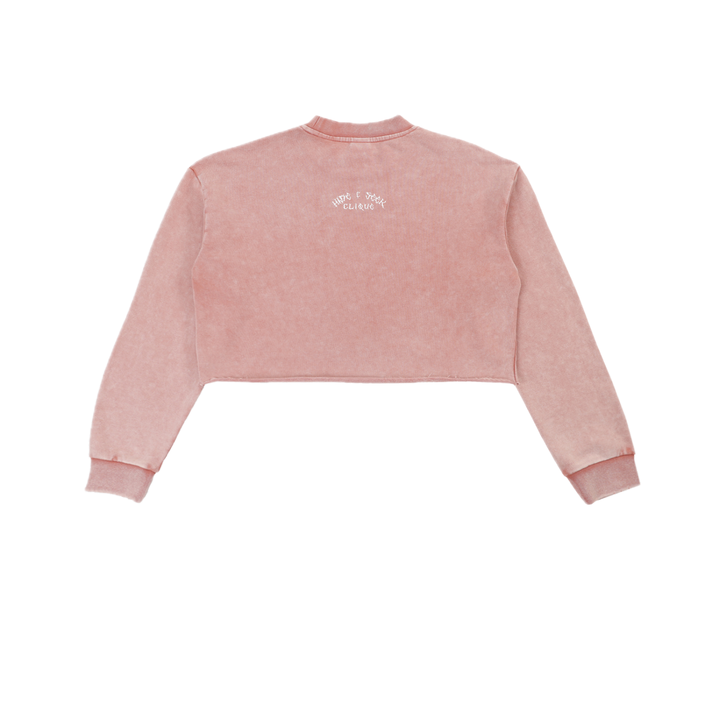 ⟦HIDDIN // CR0P.UNR3G.CØV3R⟧