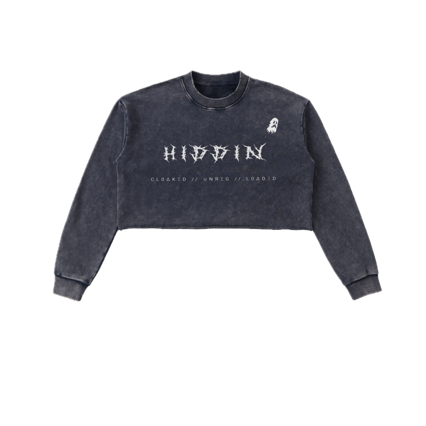 ⟦HIDDIN // CR0P.UNR3G.CØV3R⟧