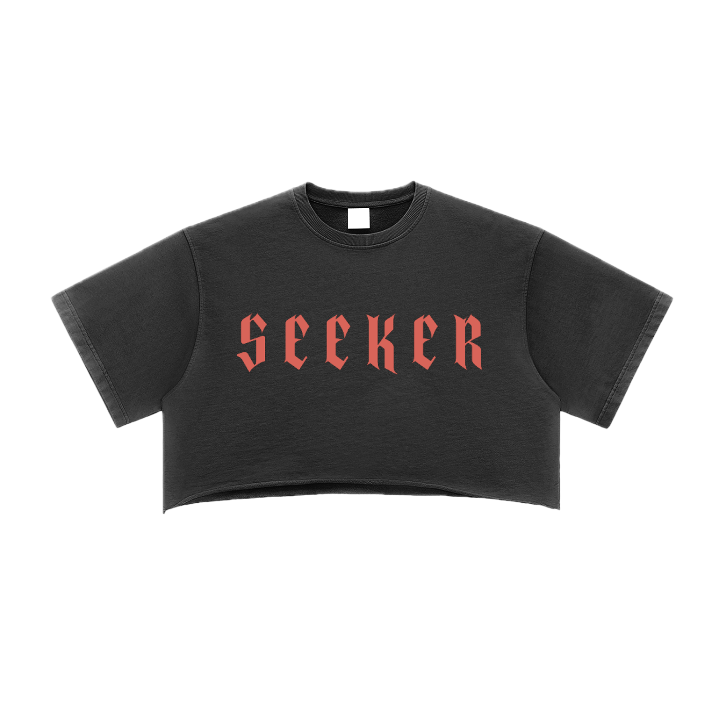 ⟦SEEKER // FR4Y_SHΔDΞ⟧