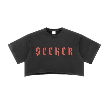 ⟦SEEKER // FR4Y_SHΔDΞ⟧