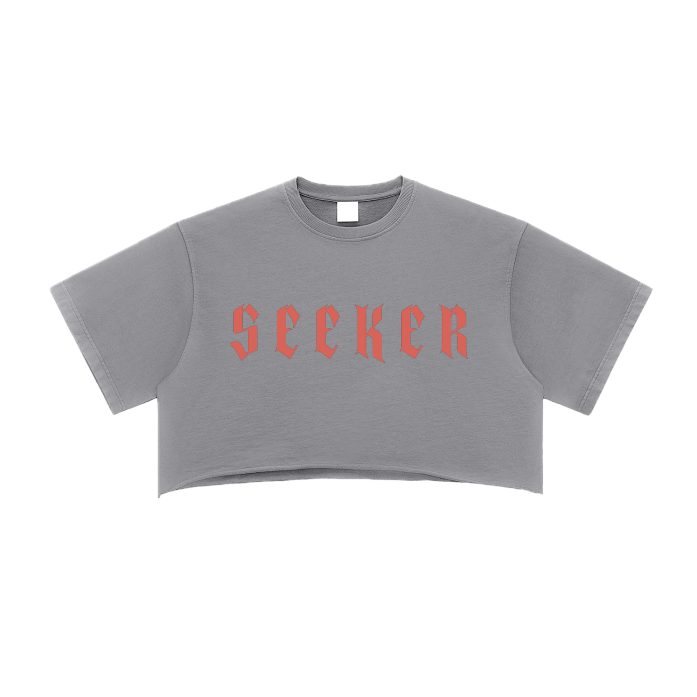 ⟦SEEKER // FR4Y_SHΔDΞ⟧