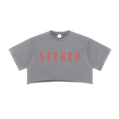 ⟦SEEKER // FR4Y_SHΔDΞ⟧
