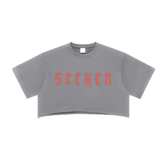 ⟦SEEKER // FR4Y_SHΔDΞ⟧