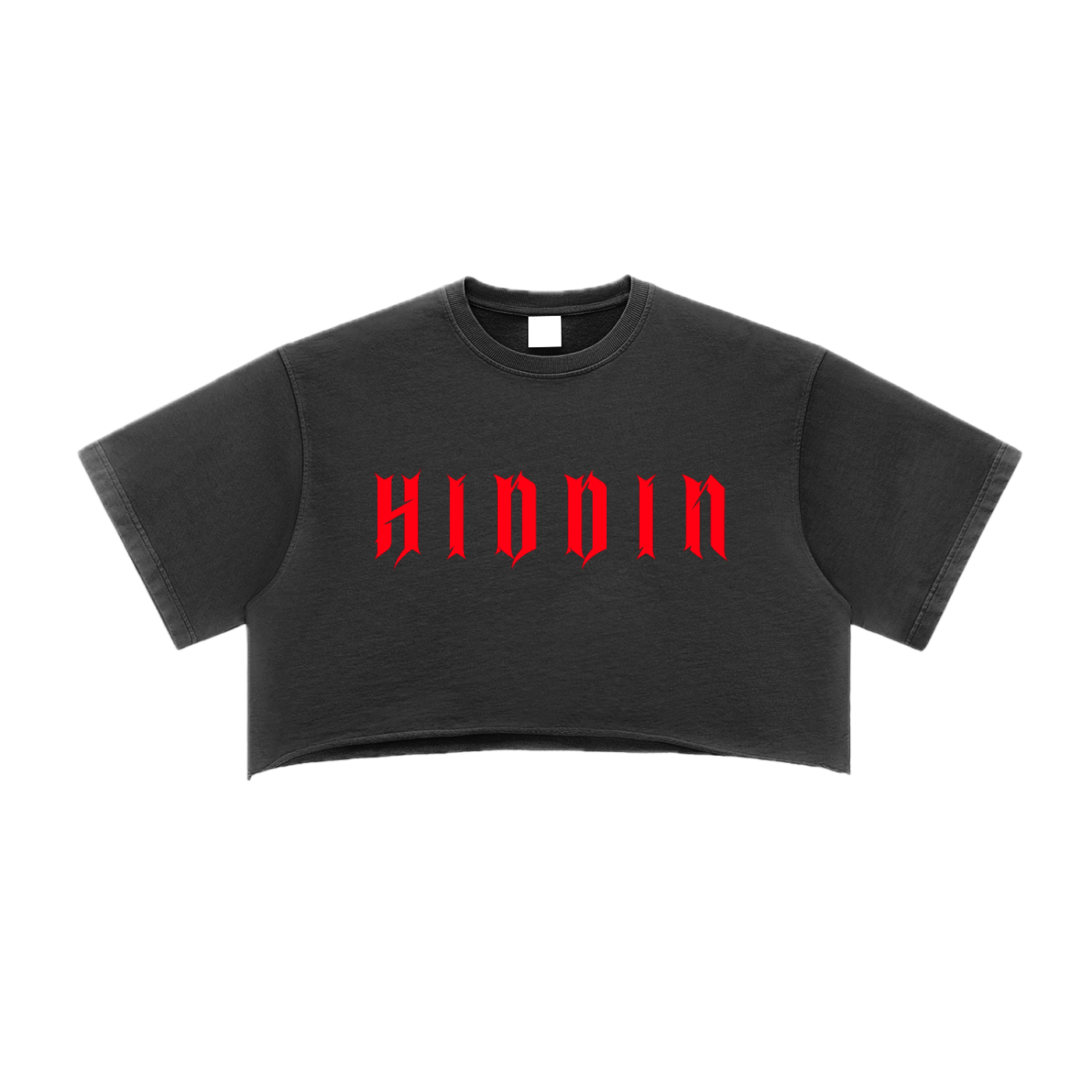 ⟦HIDDIN // RΞDTR4CΞ_CROP⟧
