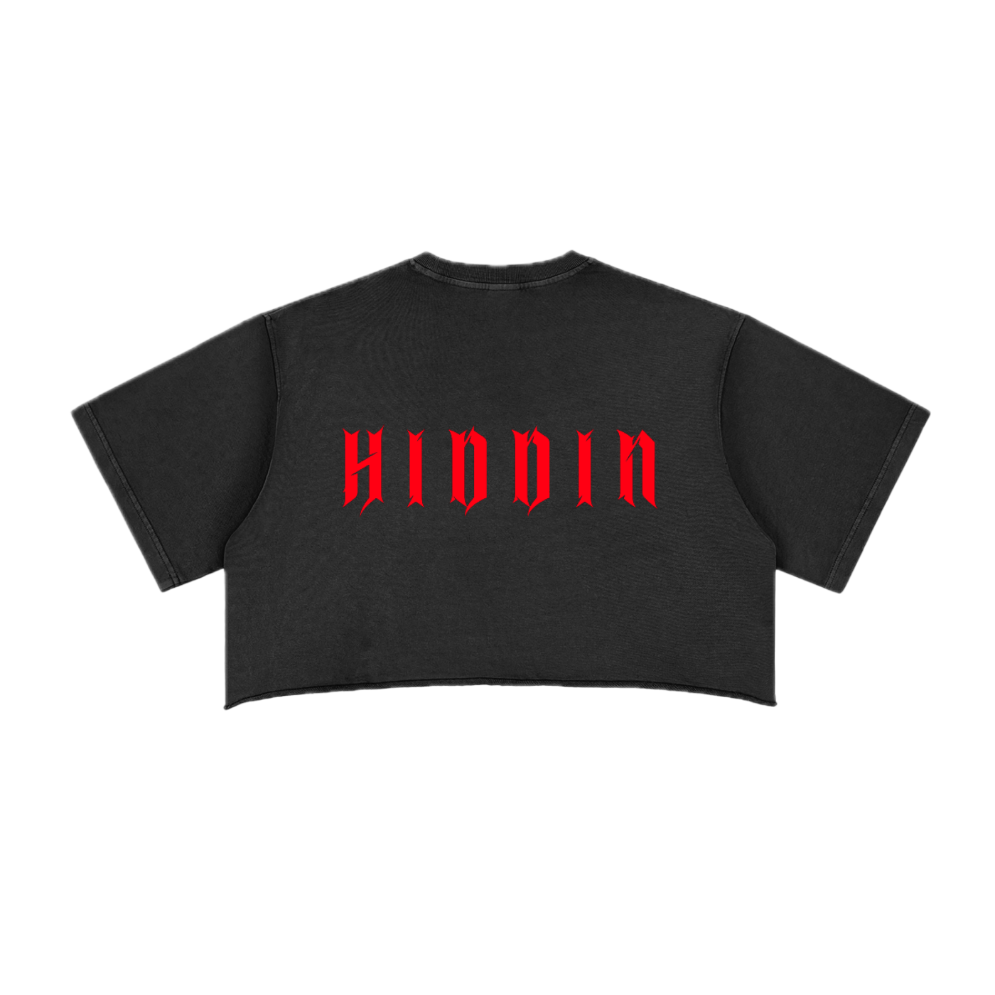 ⟦HIDDIN // RΞDTR4CΞ_CROP⟧
