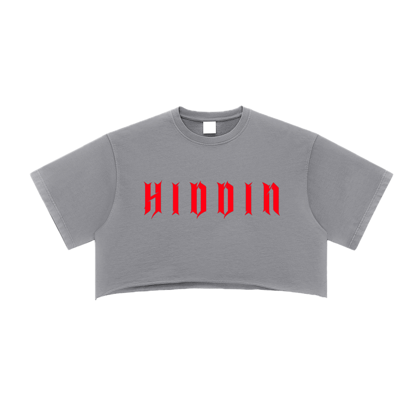 ⟦HIDDIN // RΞDTR4CΞ_CROP⟧