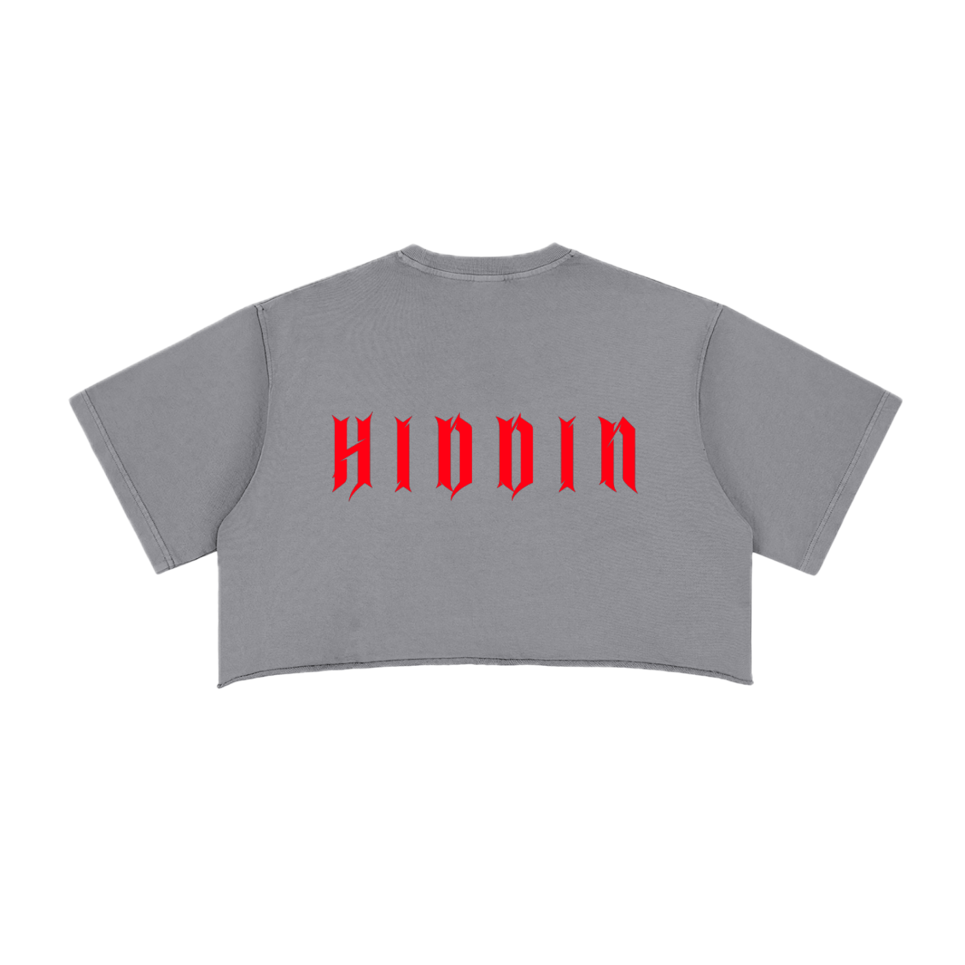 ⟦HIDDIN // RΞDTR4CΞ_CROP⟧